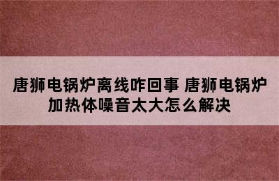 唐狮电锅炉离线咋回事 唐狮电锅炉加热体噪音太大怎么解决